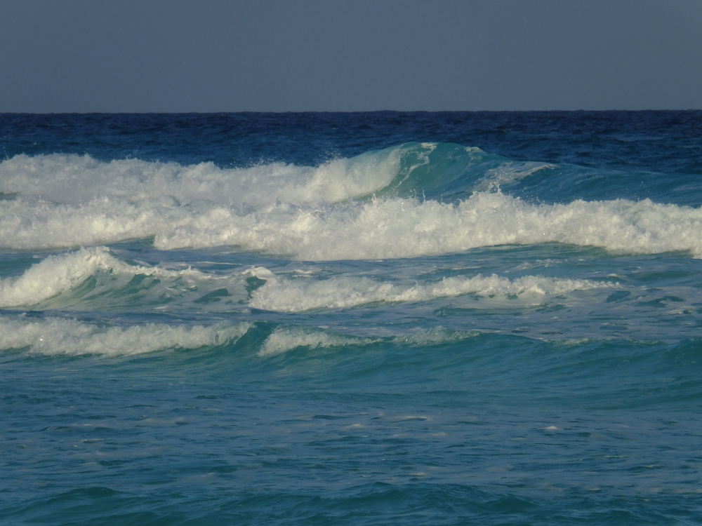 Playa Delfines