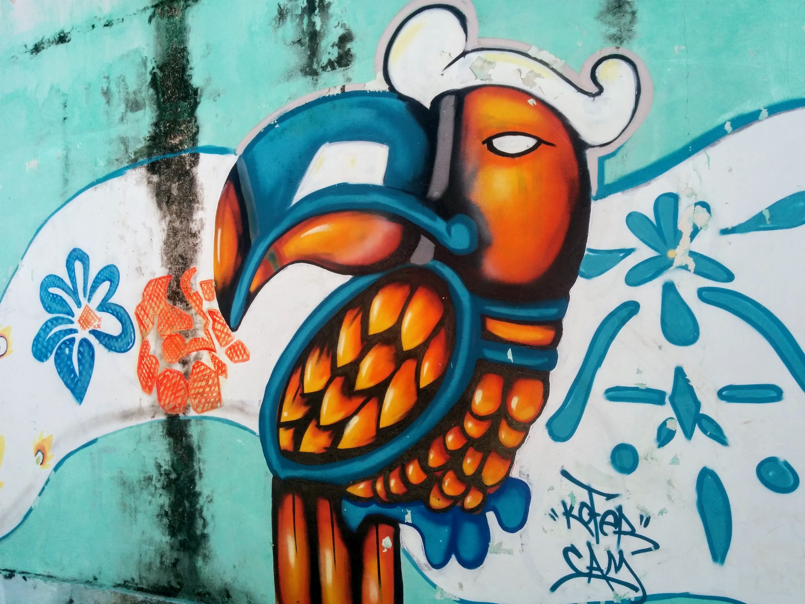 Граффити птица