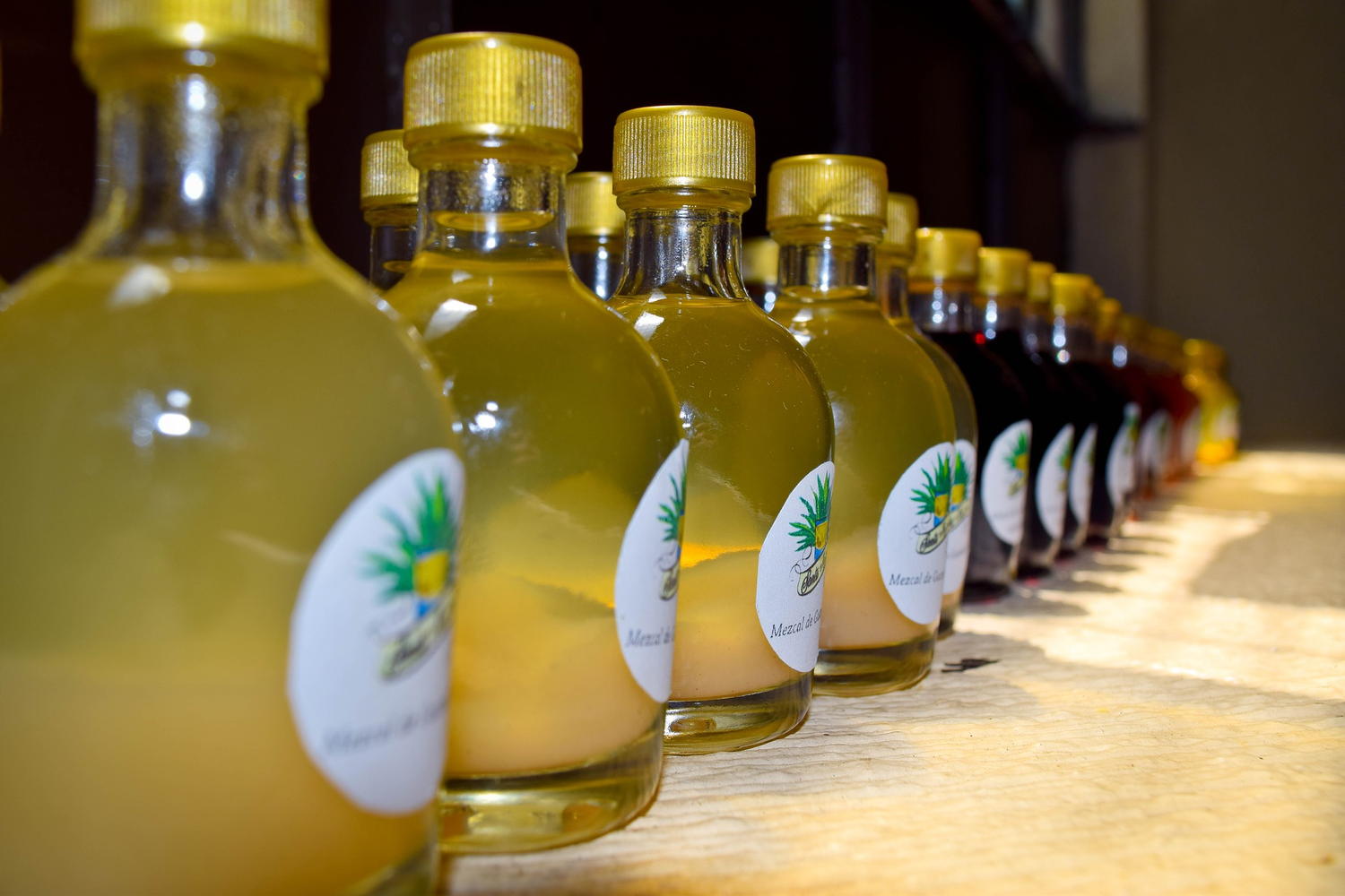История текилы и заготовка агавы — основного ингредиента напитка